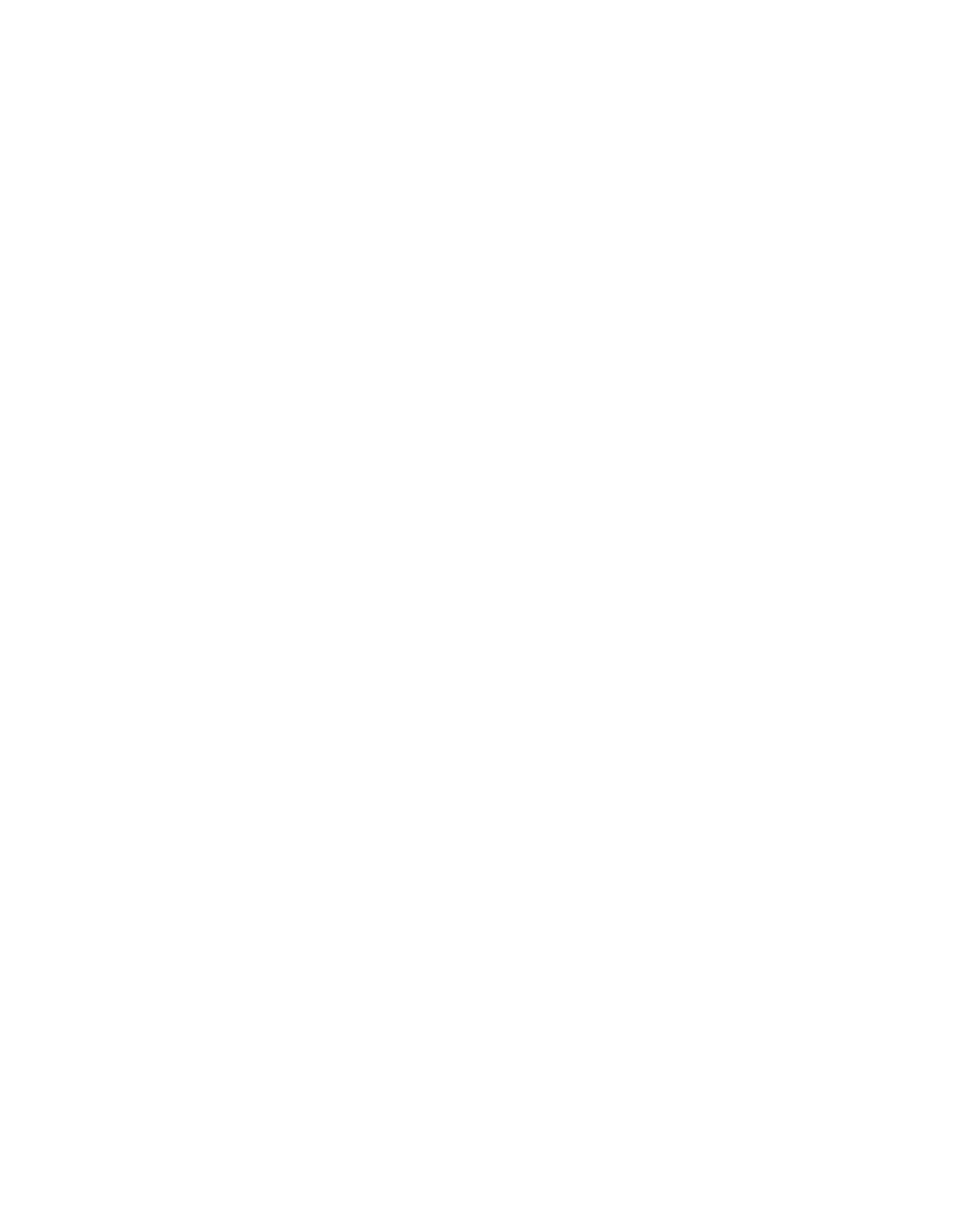 Boulette sauce chasseur